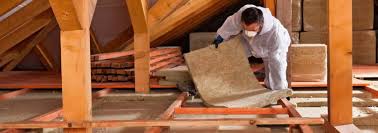 Best Commercial Insulation Services  in Pecan Acres, TX